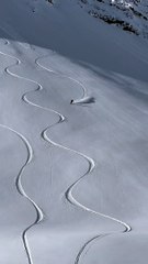 Carving The Mountain Powder