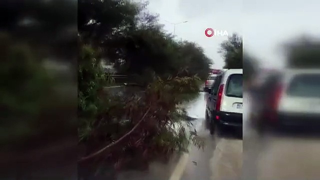 Des vents violents ont abattu des arbres à Antalya et la circulation a été perturbée sur l'autoroute