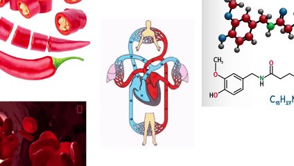 10 Natural Foods To Enhance Erectile Function - ED Natural Remedy