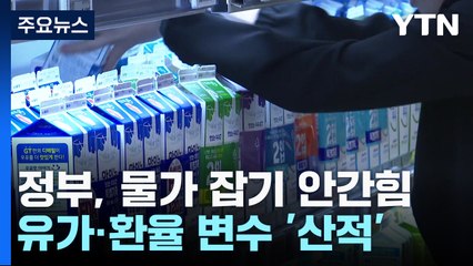 정부, 물가 잡기 안간힘...유가·환율 변수 '산적' / YTN