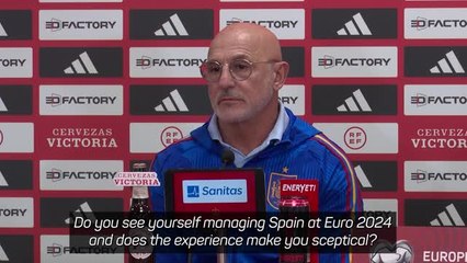 ‘I am sure I will be at Euro 2024’ - Spain boss De la Fuente