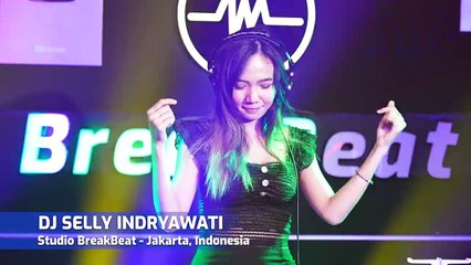 DJ Kekasih Bayangan X Terlalu DJ Selly Indryawati  Breakbeat Ful  Bass Remix