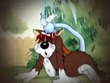 TOM Y JERRY Español latino HD capitulo (87)