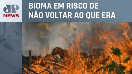 Incêndios agravados pelo calor avançam no Pantanal