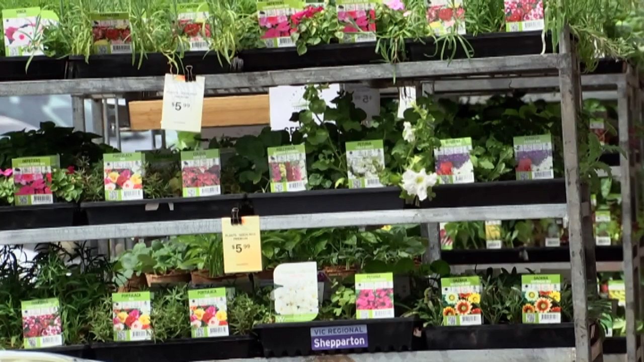 ACT embarking on sweeping changes to surrogacy laws