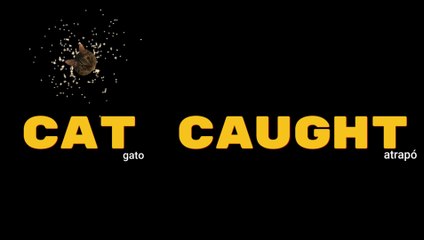 ¿Cual es la diferencia? CAT vs. CAUGHT pronunciación