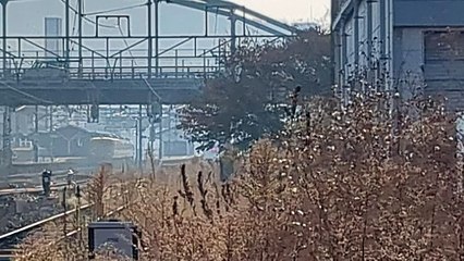 PXL_20231105_083059 1091列車・1091レ