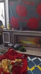 Video : पत्नी ने पति को दूसरी महिला के साथ पकड़ा हुआ हंगामा