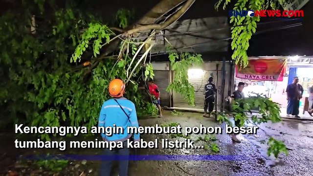 Hujan Deras Disertai Angin Kencang Landa Kabupaten Bogor, 6 Pohon Tumbang