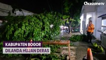 Diterjang Hujan Angin, Sejumlah Pohon Tumbang Tutup Akses Jalan di Kabupaten Bogor