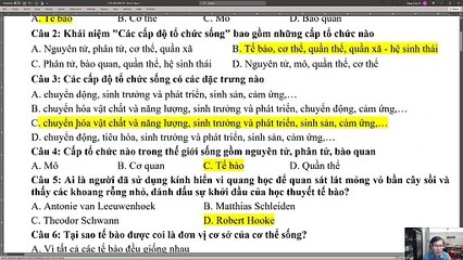 Sinh 10 - Giữa kỳ I Đề 1 2023_2024