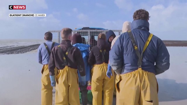 Tempête Ciaran : un ostréiculteur constate les dégâts