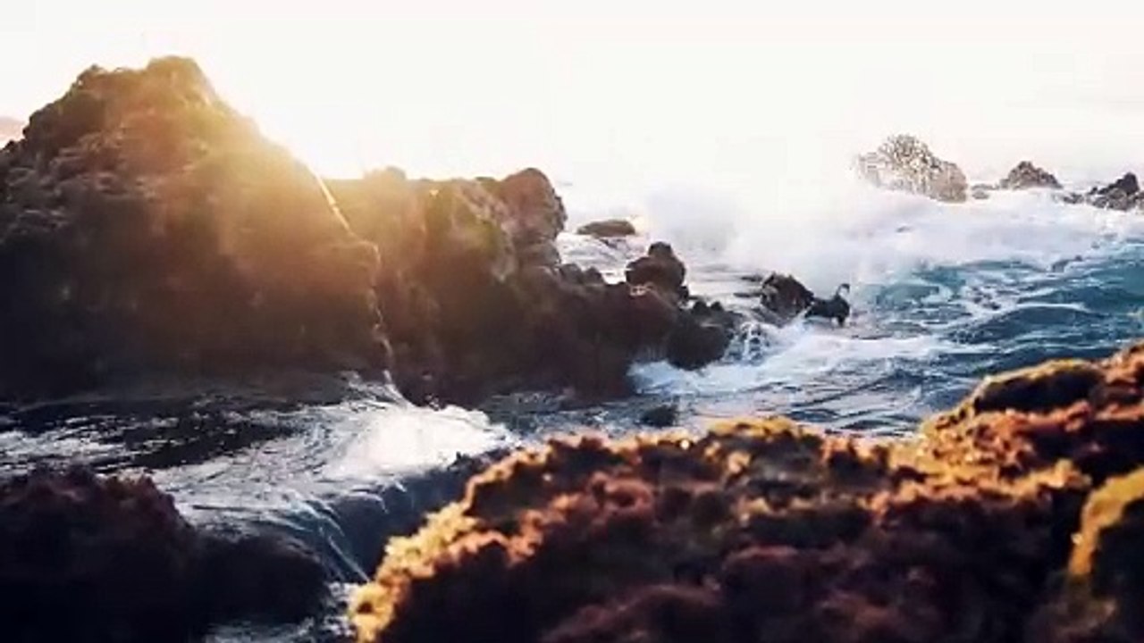 Rock sea weave Stock video.