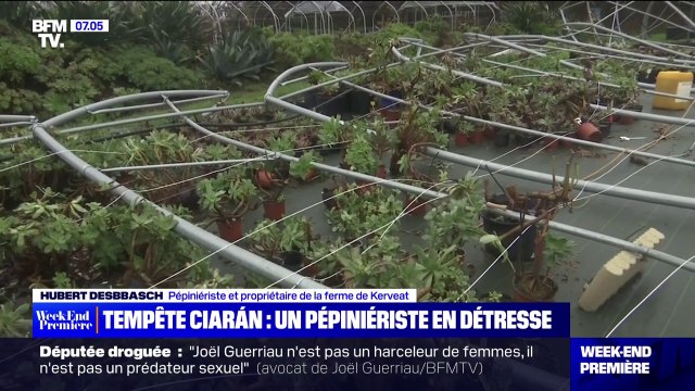 Tempête Ciarán: un chantier solidaire pour venir en aide à ce pépiniériste sinistré