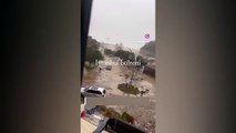 İstanbul'da fırtına! Şile'de dere taştı, Beykoz'da ağaç devrildi