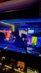 Party night today world cup match 19 november 2023