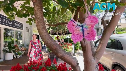 Yarn bombing in Keiraville│ Illawarra Mercury │ November 19, 2023