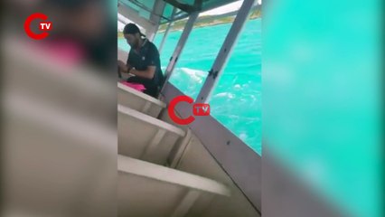 Turist teknesi içinde yolcularla böyle battı