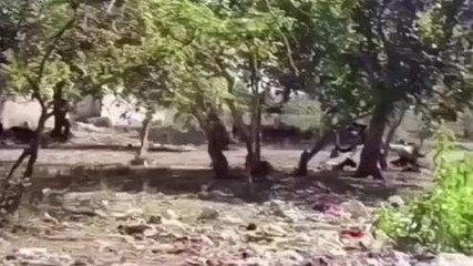 उमरिया: गलियों चौराहे पर कचरे का अंबार,जिम्मेदार बने मूकदर्शक