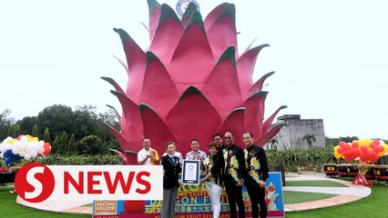 World's first largest dragon fruit-shaped building expected to boost local tourism