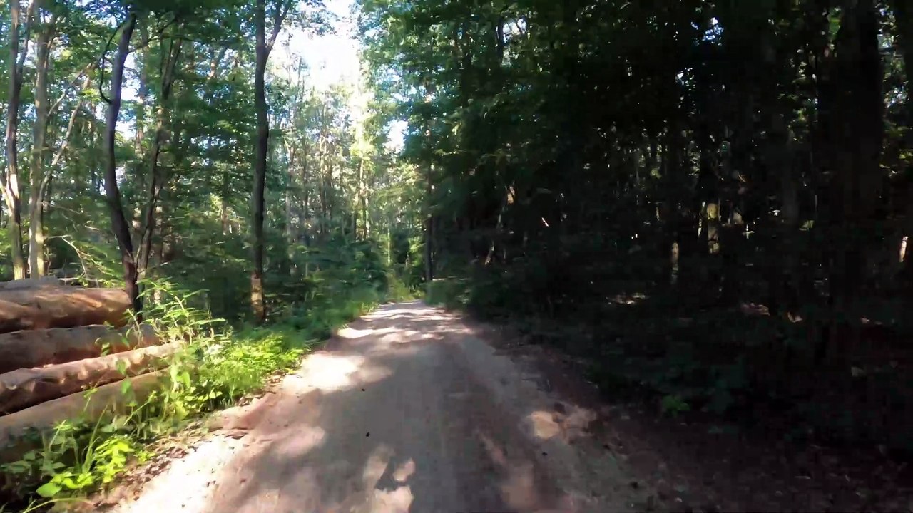 Zur Hohenauer Wiese | MTB Babenberger-Strecke (2)