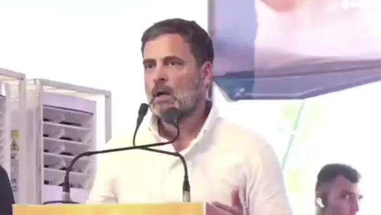 दौसा: राहुल गांधी ने सभा में जातिगत गणना पर उठाए सवाल, भाजपा पर कसा तंज