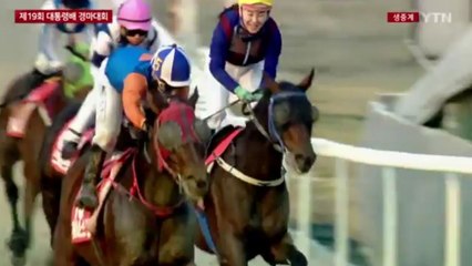 국산마 '위너스맨' 대통령배 우승...사상 첫 G1 경주 '그랜드 슬램' 달성 / YTN