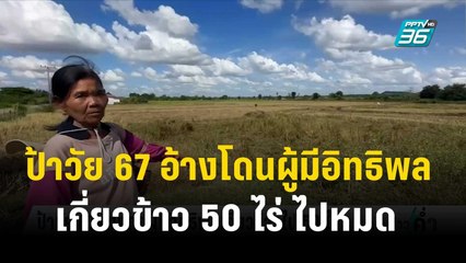 น้ำตาตก! ป้าวัย 67 อ้างโดนผู้มีอิทธิพลเกี่ยวข้าว 50 ไร่ ไปหมด | เข้มข่าวค่ำ |  19 พ.ย. 66