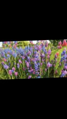 Scripture in Context