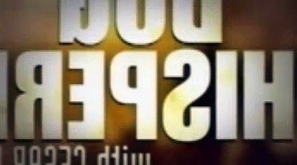 The Dog Whisperer Season 3 Episode 1 Kobe, Banjo And Kisses