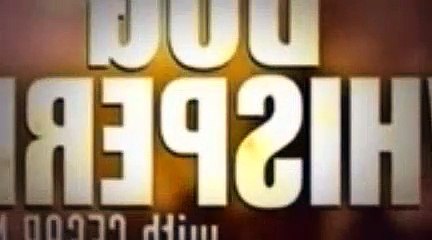 The Dog Whisperer Season 3 Episode 11 Dexter And Nasir (The Diva's Miracle Worker)