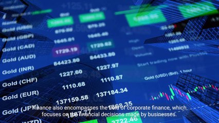 @ Understanding the Multifaceted Nature of Finance