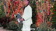 Jake Cuenca at Star Magical Christmas Ball 2023
