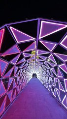 Spoiler mostra como ficará túnel da árvore gigante na orla de Maceió