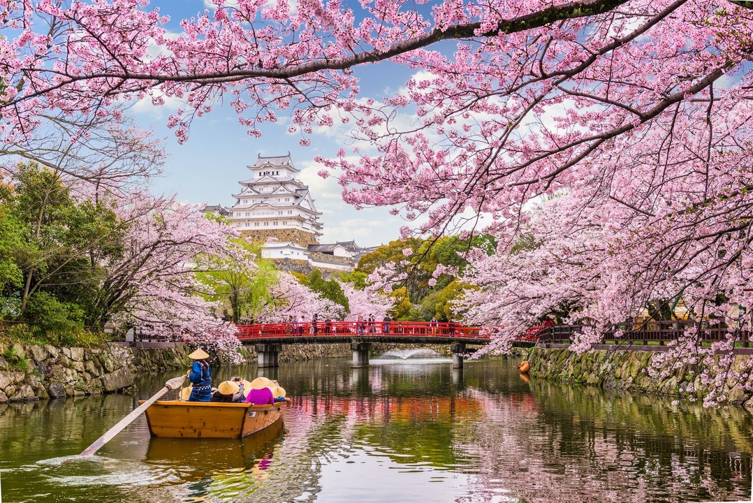 5 faits sur le Japon Pt.2