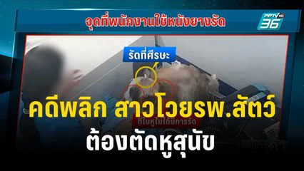 คดีพลิก สาวโวยรพ.สัตว์ ต้องตัดหูสุนัข  | เข้มข่าวค่ำ |  19 พ.ย. 66