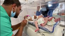مراسل #العربية: وصول الأطفال الخدج إلى مستشفى تل السلطان تمهيدا لنقلهم إلى #مصر #غزة