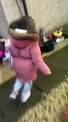 New Spaniel Becomes Bonnie Best Friend