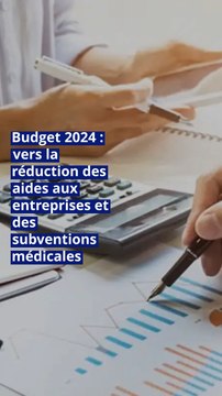 Budget 2024 : vers la réduction des aides aux entreprises et des subventions médicales