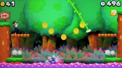 New Super Mario Bros 2 Special Worlds - Part 2 World Fire Flower