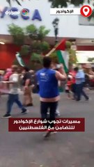 مسيرات تجوب شوارع الإكوادور للتضامن مع الفلسطنيين