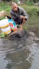 what a funny moment                                    new technic of washing