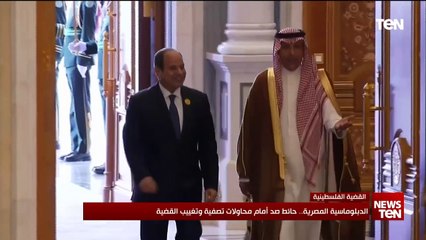 الدبلوماسية المصرية .. حائط صد أمام محاولات تصفية وتغييب القضية