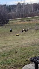 Son Engineers Single-Person Teeter-Totter