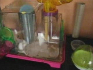 Jeux souris