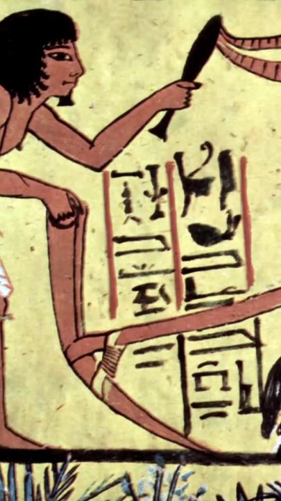 Qu'est-ce que l'évolution a fait à notre cerveau ?