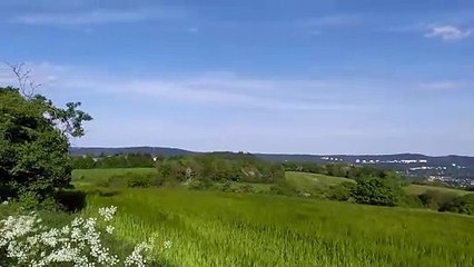 #Shorts ️ Landscape Impressions | ★ TBMAGP ★ #country #countrymusic