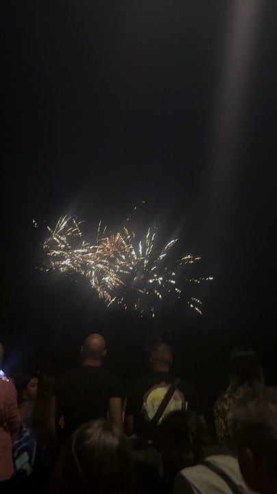 Le Feu d’artifice du 14 juillet Grenoble  Parc Jean-Verlhac Villeneuve #france #grenoble #show (9)