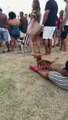 Cachorro se diverte com Léo Santana, na Barra; assista