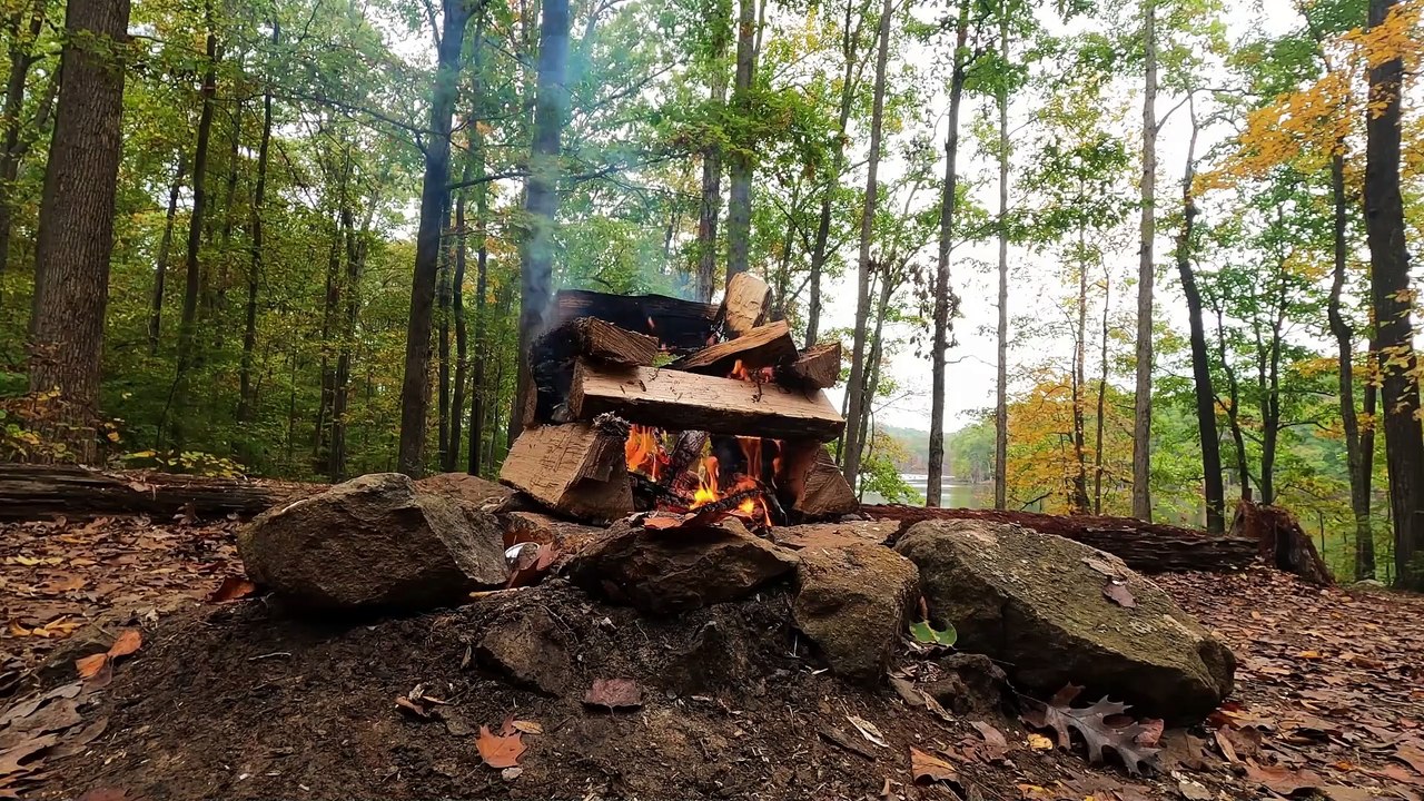 "Tranquil Serenades: Gentle Sounds for Relief"